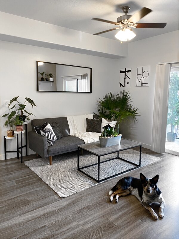 light grey paint living room