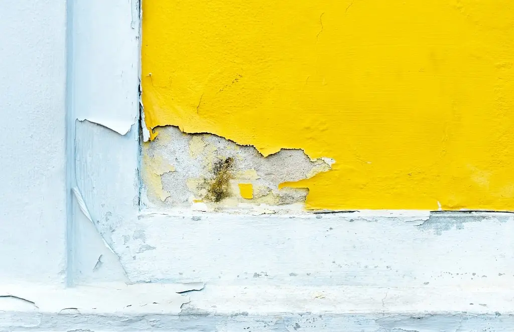 The corner of a yellow-painted concrete wall that has started peeling to a rough texture due to storm damage.