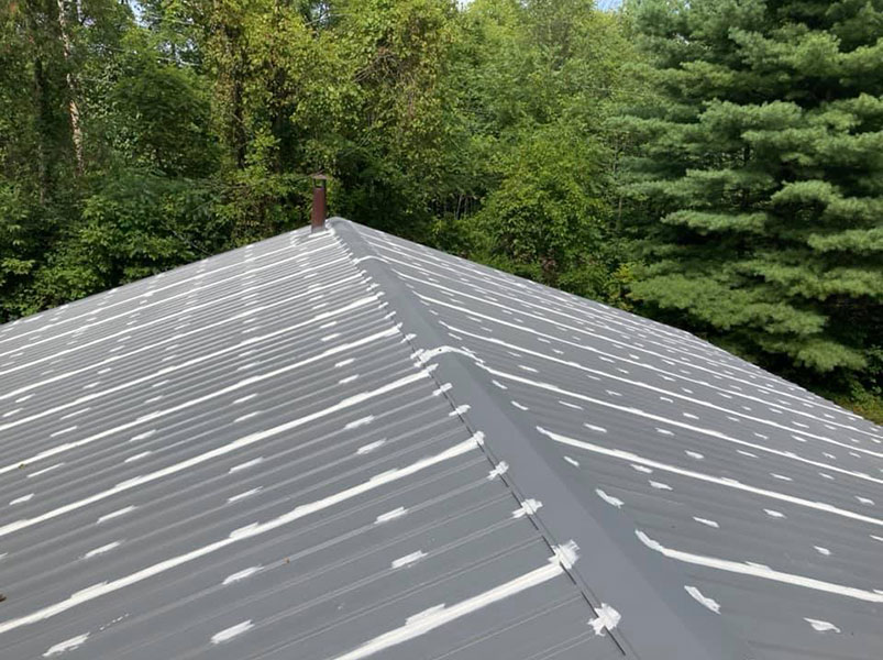 Roof Painting & Coatings | Van Tuinen Painting