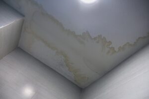 water stain of the ceiling of a building