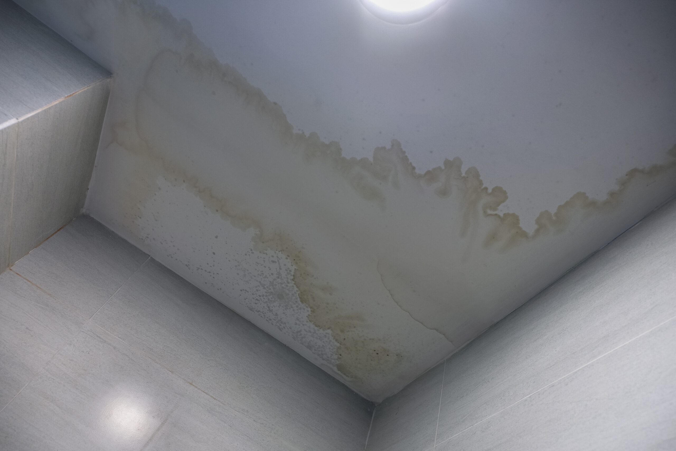water stain of the ceiling of a building