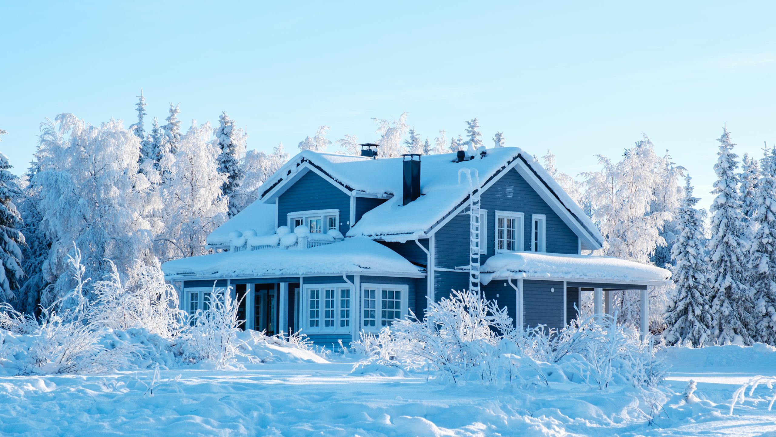 A dark timber house rests among snow-laden trees on a bright winter day in Lapland, Finland, offering a peaceful scene of northern architecture and snowy wilderness.
